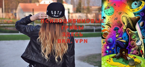 мдпв Медногорск