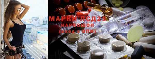 PSILOCYBIN Магас