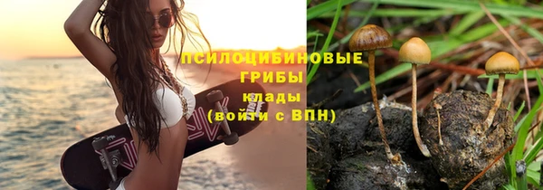 PSILOCYBIN Магас