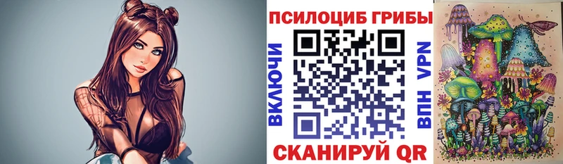 Купить закладки  Назрань  Галлюциногенные грибы Magic Shrooms 